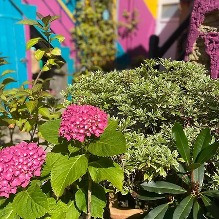 L'inattendue - Cosy A 150m De La 3*